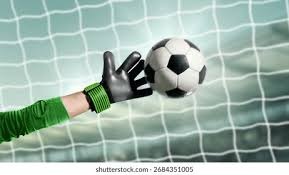 山东泰山主场收官：10胜3平2负，负成都申花，6-0国安&3-1海港