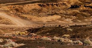 记者：国足可以进附加赛但最好不要进世界杯，不去未必是件坏事